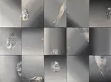 Louis le Brocquy, LIFE STUDY (in 15 parts)