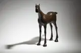 Anthony Scott, Foal
