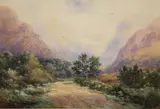 Alexander Williams, Untitled