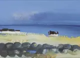 Daniel O'Neill, Untitled