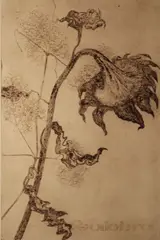 Patrick Hickey, Untitled