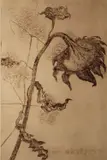 Patrick Hickey, Untitled