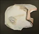 Patrick Collins, Untitled