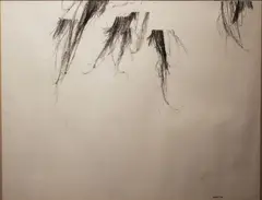 Patrick Scott, Untitled