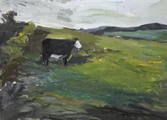 Sean Fingleton, Untitled