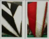 John Shinnors, Untitled