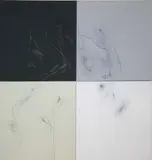 Mary Fitzgerald, Untitled