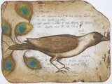 Suneel Mamadapur, The Same Dream Dreamt Once Again, Hand coloured etching