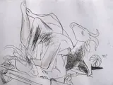 Vijay Bagodi, Untitled, Pen & ink on paper