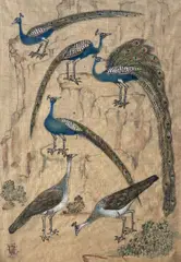 Devaki Nandan Sharma, Untitled (Peacocks), Watercolour on Cloth