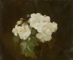 Stuart Park, Still Life Of White Roses, Oil on canvas