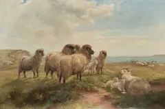 William Henry Pigott, Sheep In A Coastal Landscape, Oil on canvas