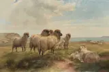 William Henry Pigott, Sheep In A Coastal Landscape, Oil on canvas