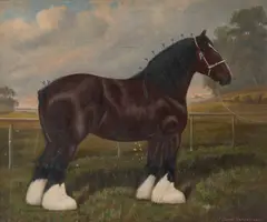 William Albert Clark, Chevet Remembrance, A Shire Horse, 1932, Oil on canvas