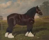 William Albert Clark, Chevet Remembrance, A Shire Horse, 1932, Oil on canvas