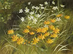 Mary Dipnall, Wild Flowers (Stitchwort & Celandines), Oil on canvas