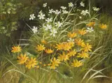 Mary Dipnall, Wild Flowers (Stitchwort & Celandines), Oil on canvas