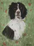 Merle Sowray, Portrait Of A Springer Spaniel, 1997, Pastel and chalks