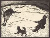 John Savio, Lasso