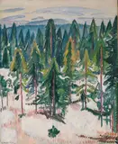 Arne Kavli, Fra Holmenkollen