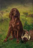Karl Uchermann, Irsk setter med stokkand, 1906, Olje på lerret