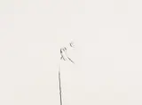 Jan Groth, Komposisjon, 1984, Penn på papir
