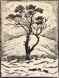John Savio, Enslig furu