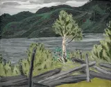 Harald Kihle, Mørkt gråvær. Vå