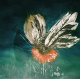 Arnold Rottem, Bzzz......, 1979, Radering, lysmål