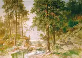 Morten Müller, Skogsinteriør