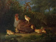 Christian August Printz, Rapphøne med kyllinger, 1862, Olje på lerret