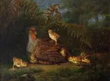 Christian August Printz, Rapphøne med kyllinger, 1862, Olje på lerret