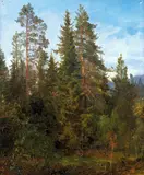 Anders Askevold, Skogsstudie fra Eide
