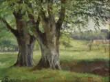 Ragnhild Thrane, Bøketrær, parti fra Dyrehaven i København, 1892, Olje på lerret