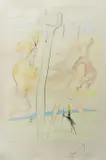 Salvador Dalí, Untitled