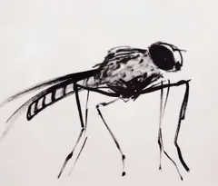 Rachael Howard, Untitled, Ink on paper