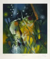 Carlos Jacanamijoy, Mediodía VII, 2009, Serigrafía sobre papel. Ejemplar 29 de 120