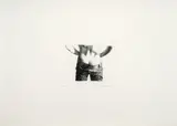 Miguel Ángel Rojas, Pelito - 2da edición, 1979 - 2019, Punta seca y aguafuerte sobre papel. Ejemplar prueba de artista