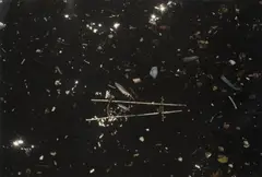 Galaxy of Litter by Cecilia Vicuña, 1989 - 2022, Impresión cromogénica. Ejemplar 8 de 50, sold Jul 2026