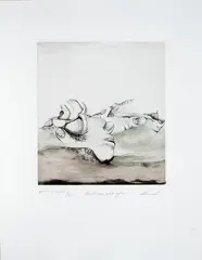 Jim Amaral, De la Carpeta Landscapes, 1997, Punta seca y aguafuerte sobre papel. Edición épreuve d'artiste V de XIV