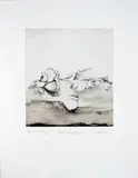 Jim Amaral, De la Carpeta Landscapes, 1997, Punta seca y aguafuerte sobre papel. Edición épreuve d'artiste V de XIV