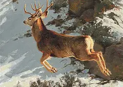 Greg A. Beechum, Untitled - Mid Jump, 2013, oil on wood board