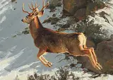 Greg A. Beechum, Untitled - Mid Jump, 2013, oil on wood board