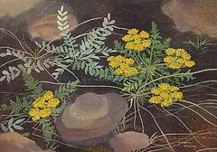 Annora Brown, Untitled - Yellow Flowers, watercolour on paper