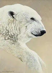 Colin John Chandler, Untitled - Polar Bear, acrylic on wood board