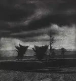 Scott Goudie, Junipers Near Colinet #7/40, 1989, etching on paper