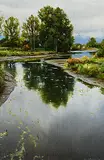 Renato Muccillo, Slack Water Study, oil on canvas board