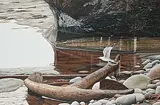 Glenn Olson, Home from the Sea, Herring Gull, 1989, egg tempera on wood board
