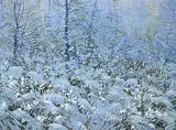Randolph T. Parker, Winter, 2009, acrylic on canvas