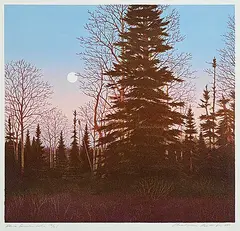 John Christopher Pratt, Above Gander Lake #56/65, 1997, colour lithograph and silkscreen on paper